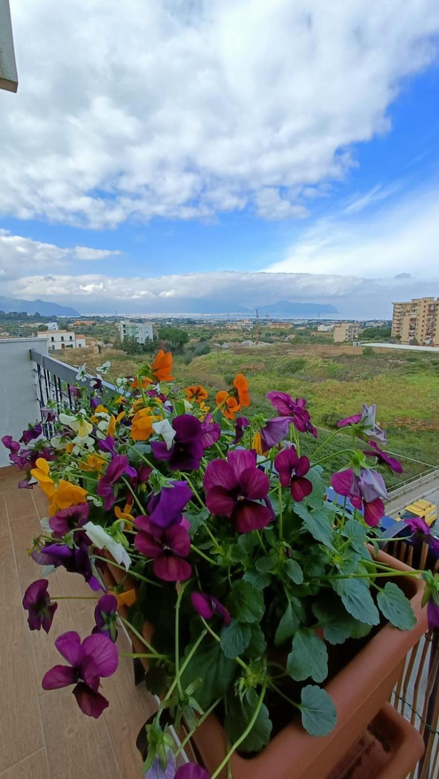 B&B Margherita Bagheria Exterior photo